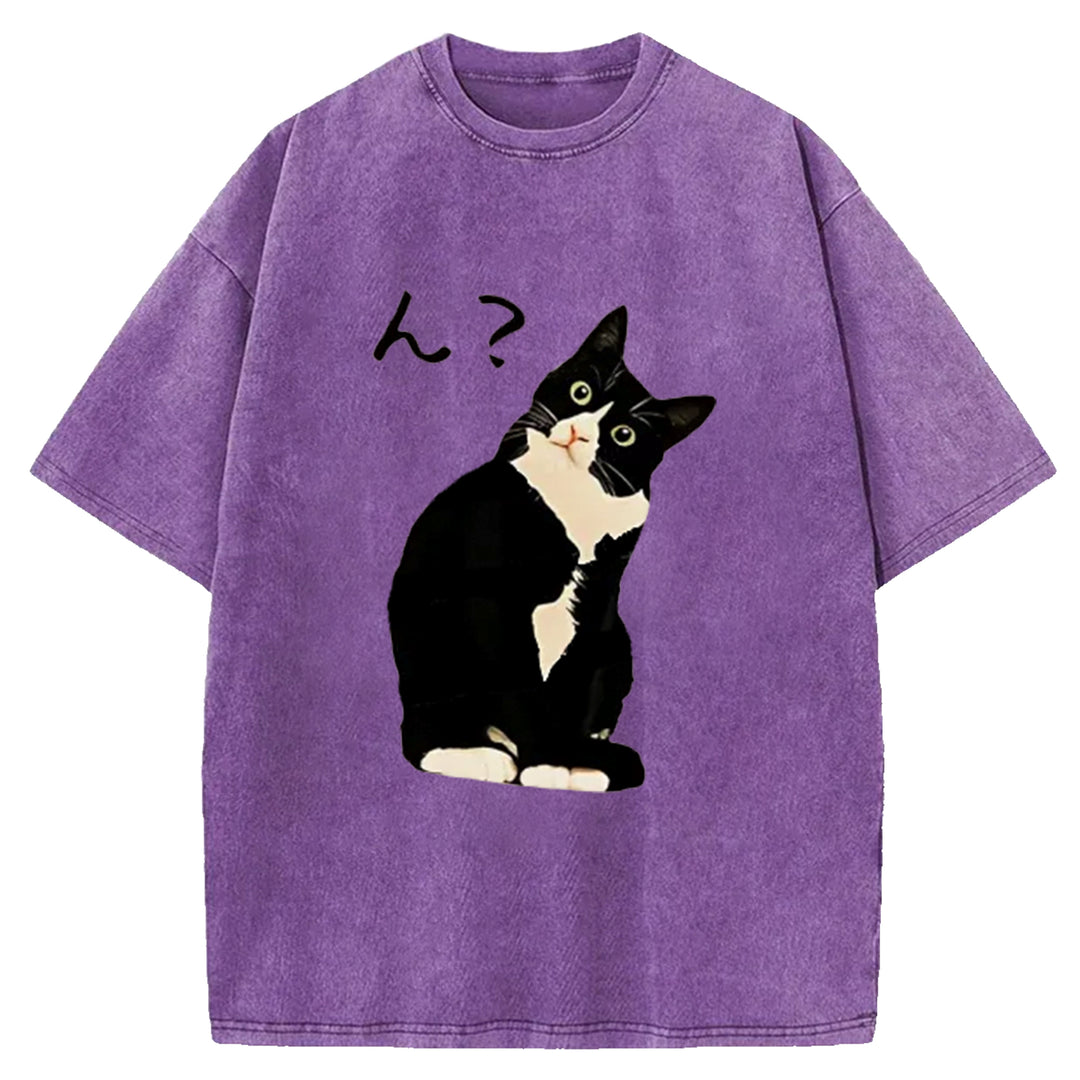 Suspicious Cat Japanese Washed Crew Neck T-Shirt