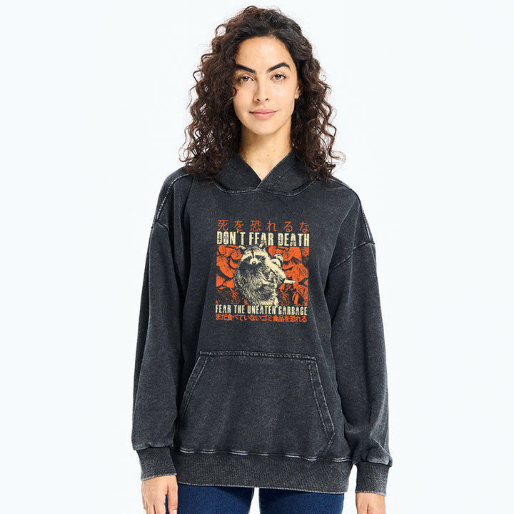Timid Raccoon Japanese Washed Hoodie