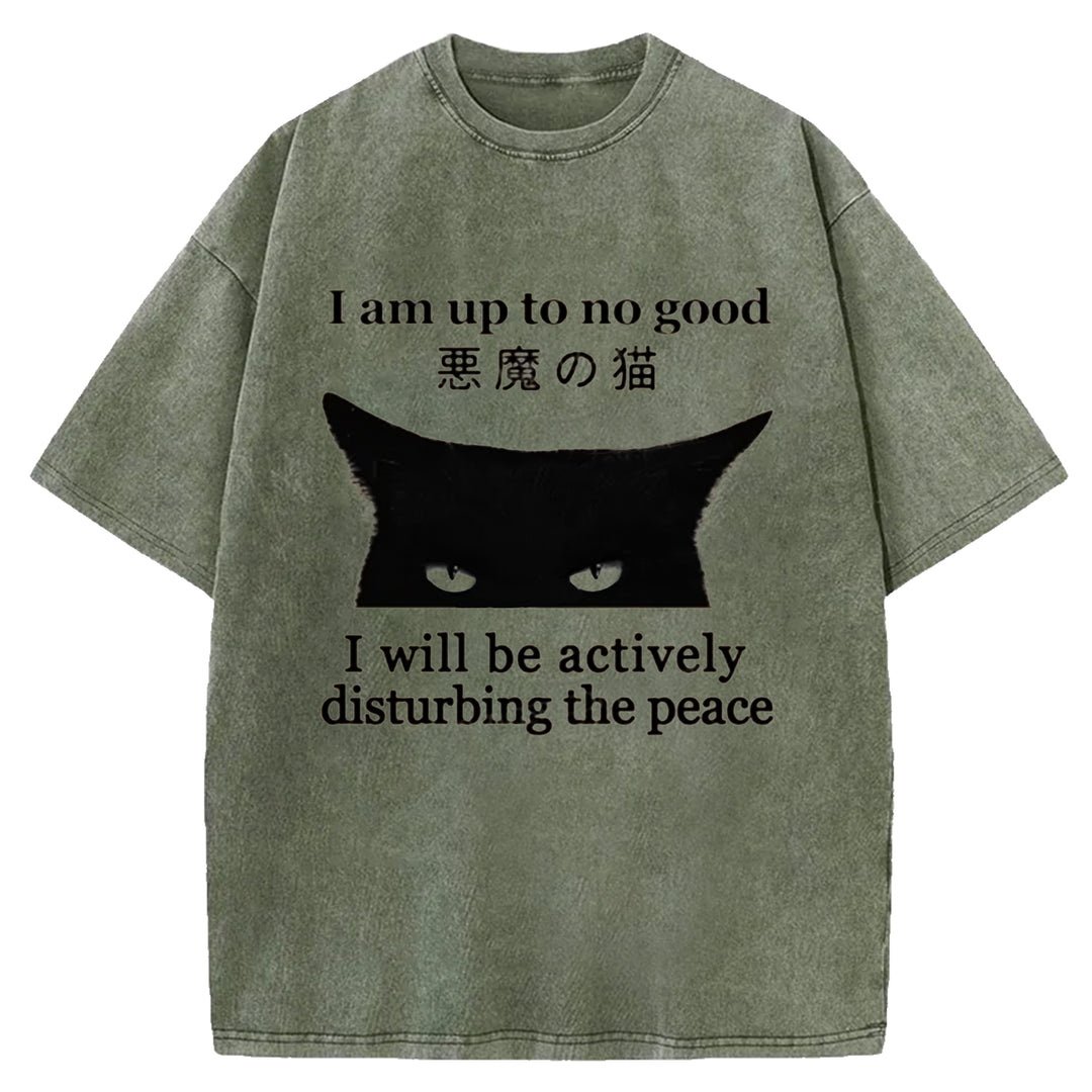 I Am up To No Good Washed Crew Neck T-shirt