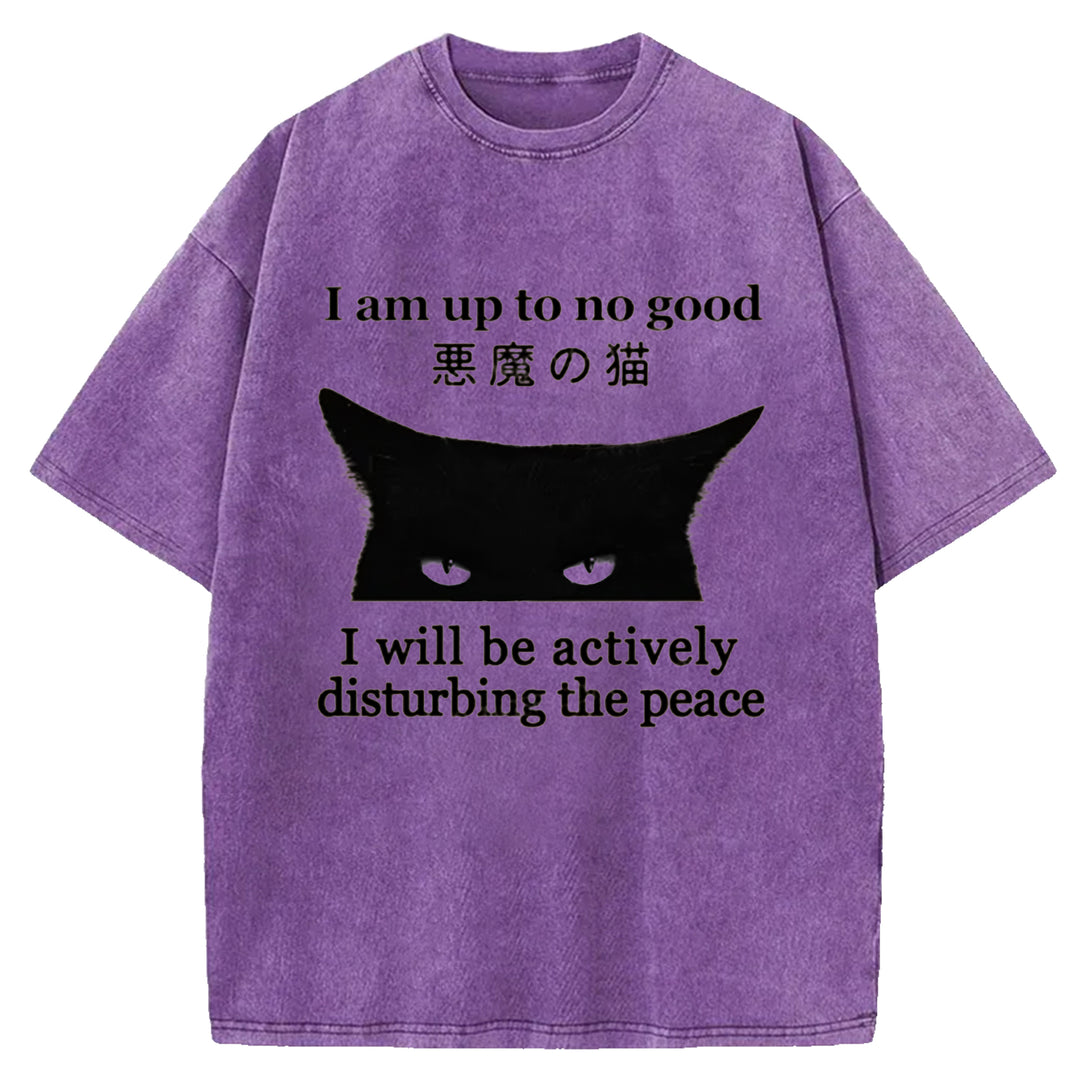 I Am up To No Good Washed Crew Neck T-shirt