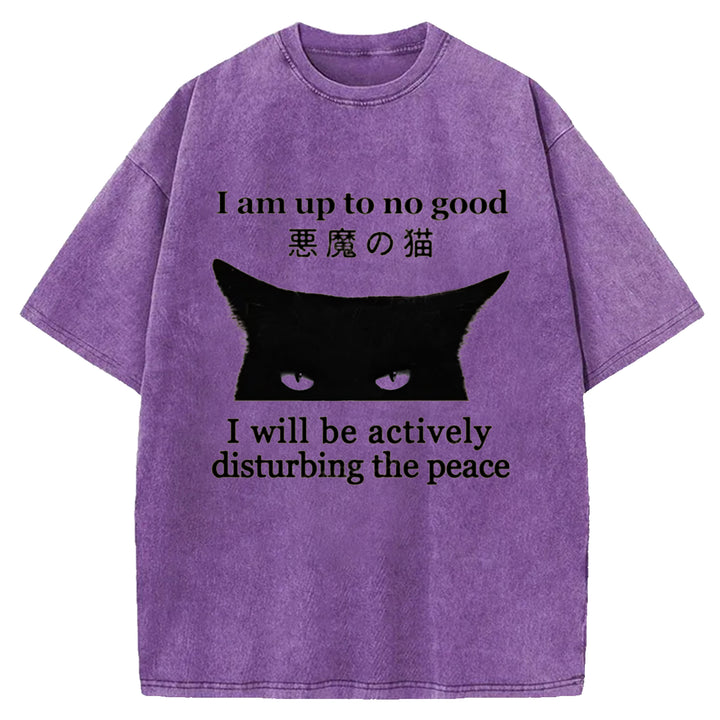 I Am up To No Good Washed Crew Neck T-shirt