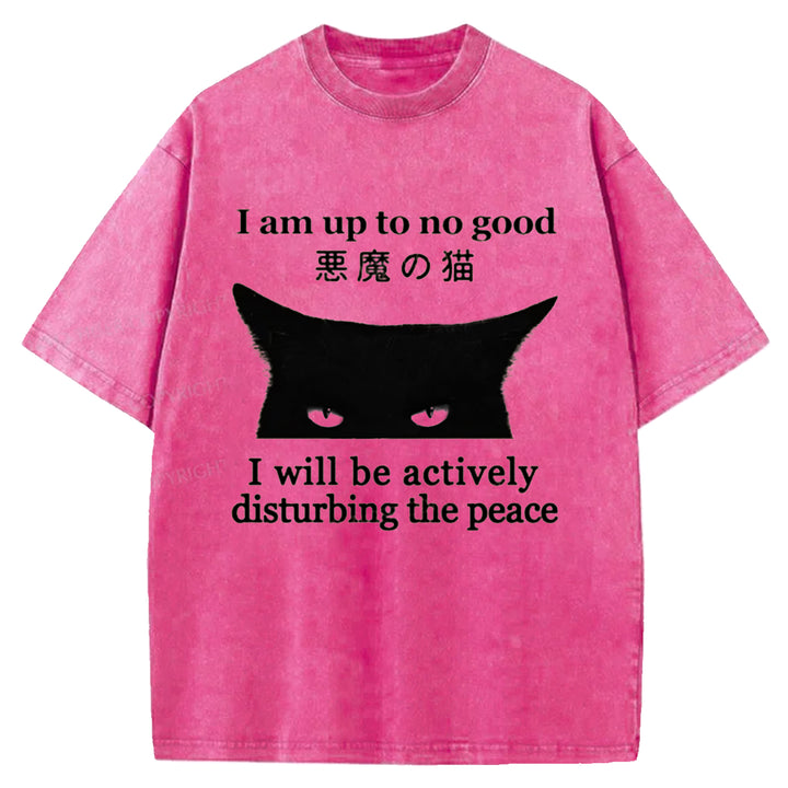 I Am up To No Good Washed Crew Neck T-shirt