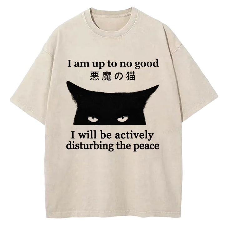I Am up To No Good Washed Crew Neck T-shirt