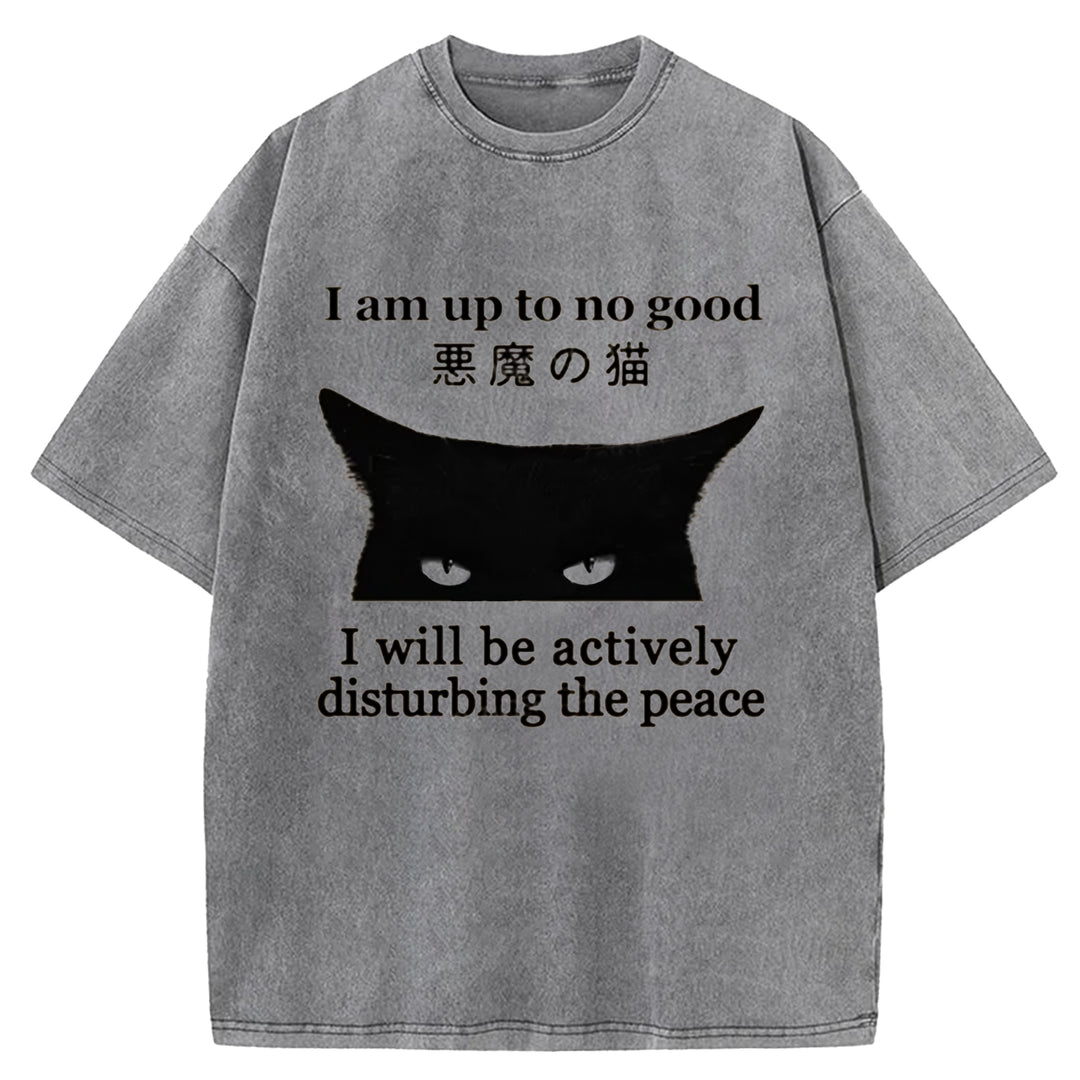 I Am up To No Good Washed Crew Neck T-shirt