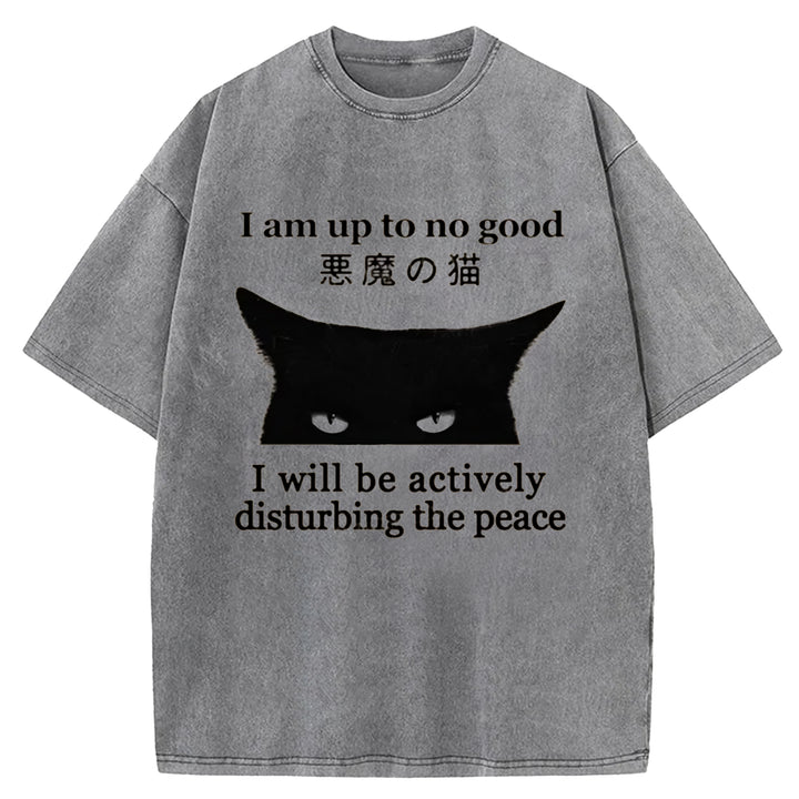 I Am up To No Good Washed Crew Neck T-shirt