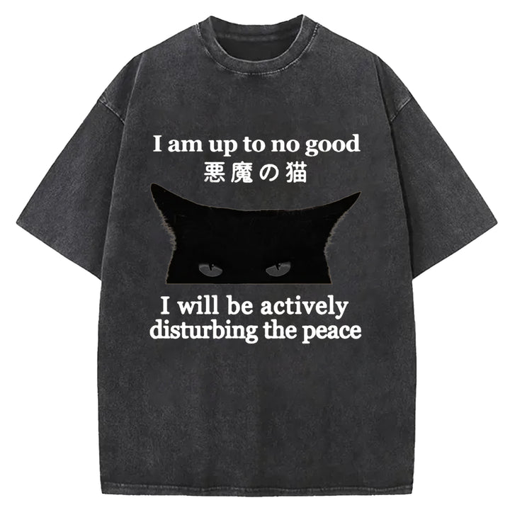 I Am up To No Good Washed Crew Neck T-shirt