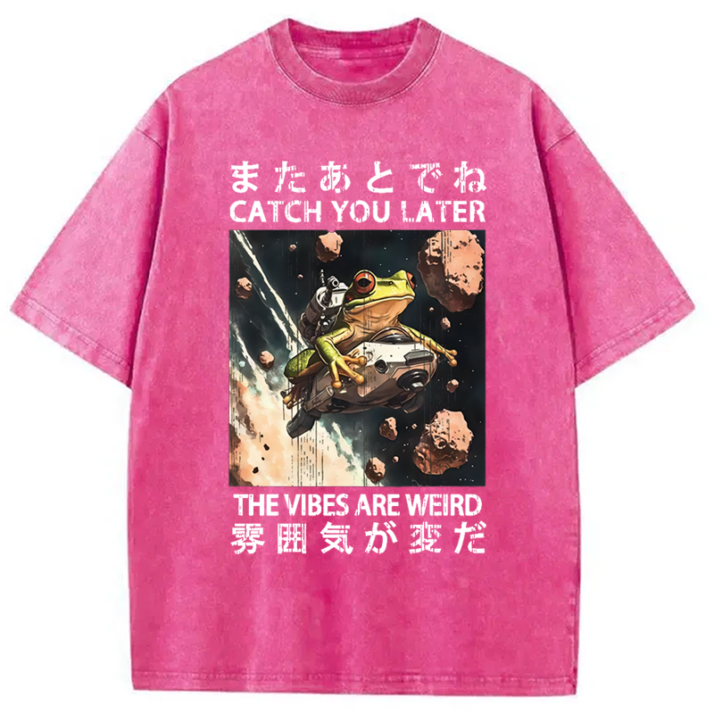 Frog Astronaut Washed Crew Neck T-Shirt