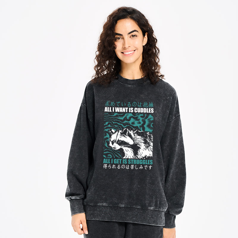 All I Get Is Struggles Washed Sweatshirt