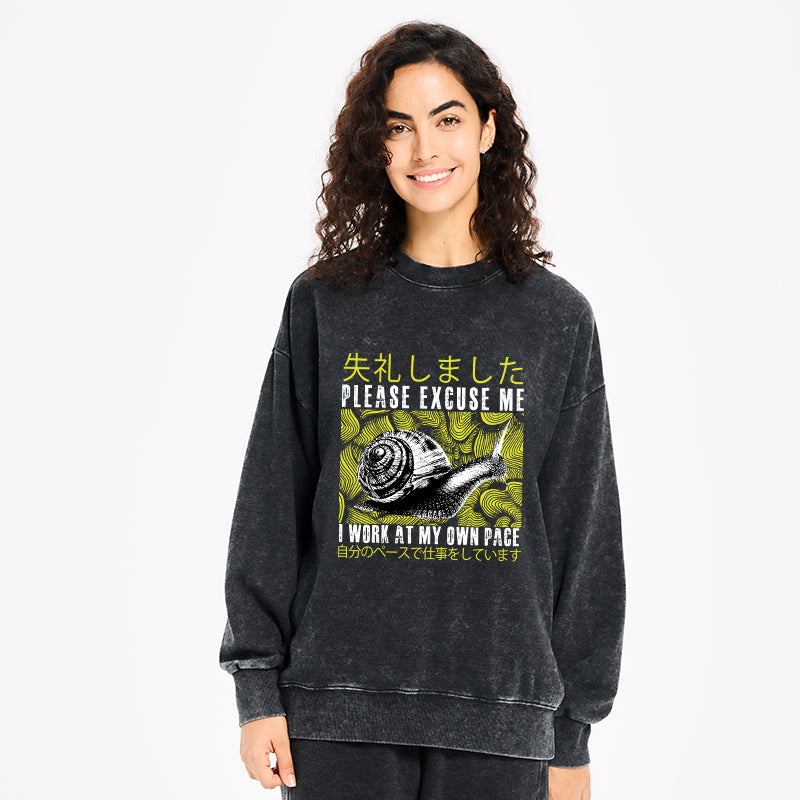 Snails That Work According To Their Own Rules Washed Sweatshirt