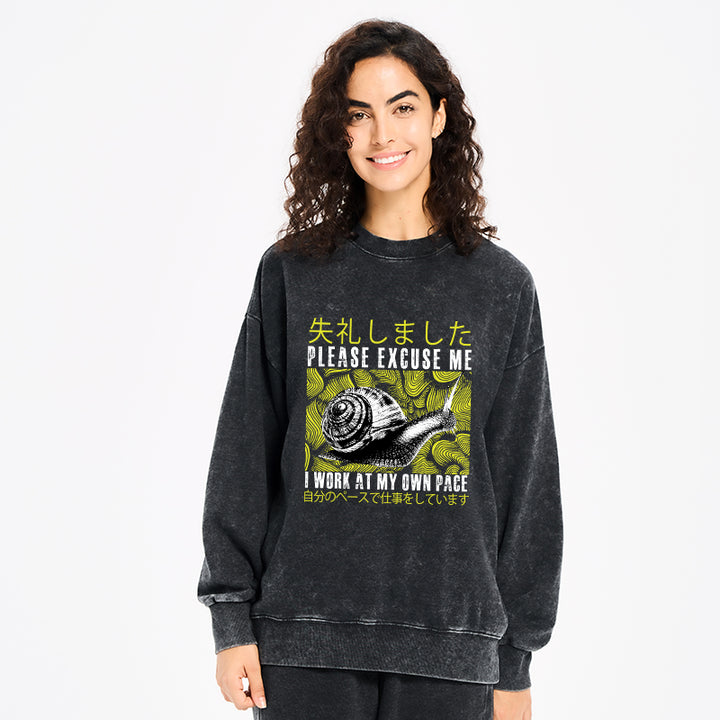 Snails That Work According To Their Own Rules Washed Sweatshirt